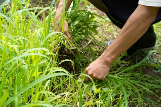 CHささやか丸,訪問介護,恵庭,ヘルパー,ささやか丸