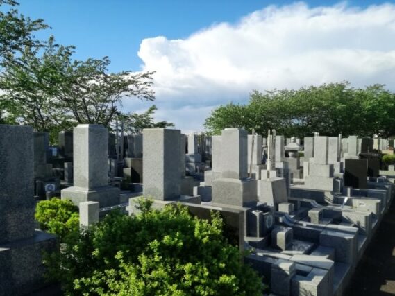 CHささやか丸,訪問介護,恵庭,ヘルパー,ささやか丸