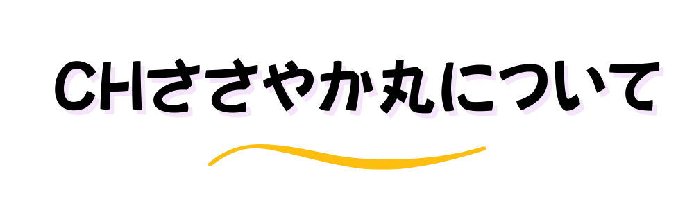 CHささやか丸,訪問介護,恵庭,ヘルパー,ささやか丸