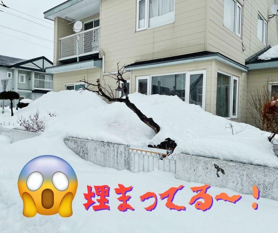 CHささやか丸,除雪