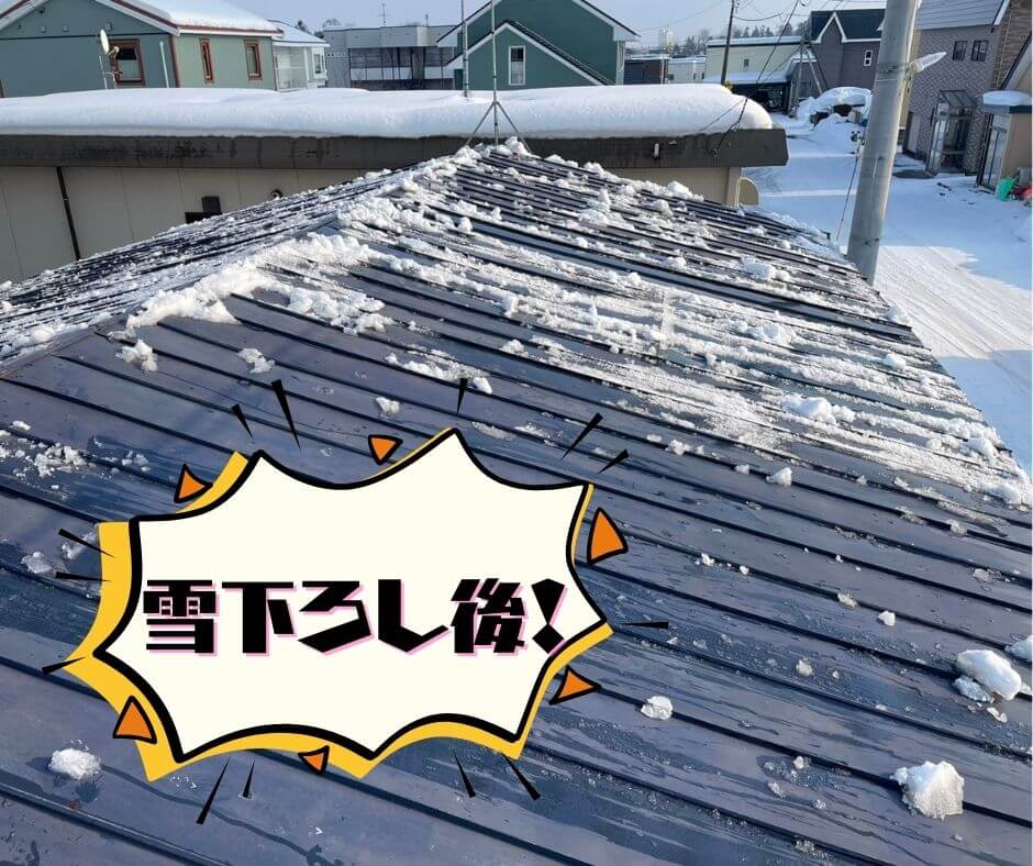 CHささやか丸,除雪,雪下ろし