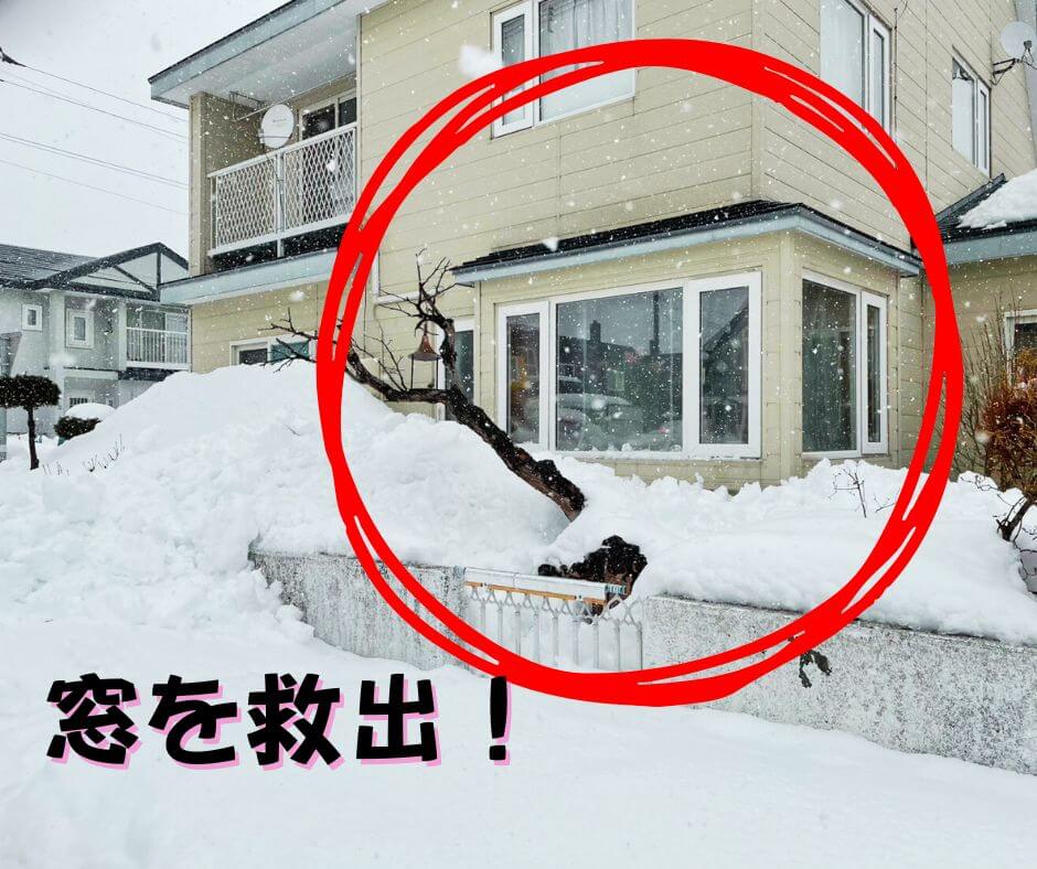 CHささやか丸,除雪